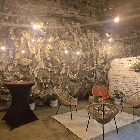 Maison Du Roi 5*