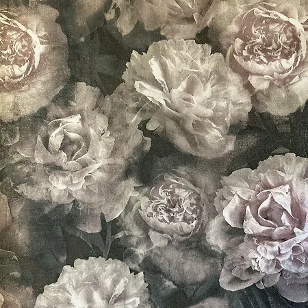 Maison Du Roi Bed & Breakfast Liège