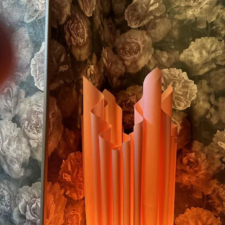 Nocleg ze śniadaniem Maison Du Roi Liège