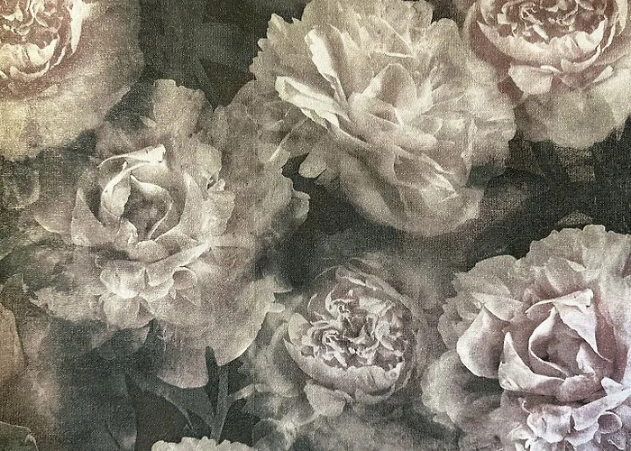 Maison Du Roi Bed and breakfast Lieja